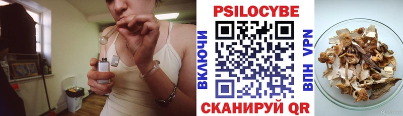 Галлюциногенные грибы Psilocybine cubensis  Ахтырский 